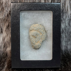 Gandharan Stone Head, D