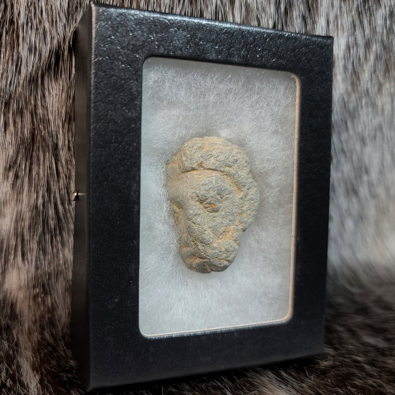 Gandharan Stone Head, D