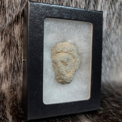 Gandharan Stone Head, D