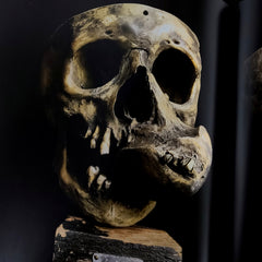 The Skullhunter Collection - Book