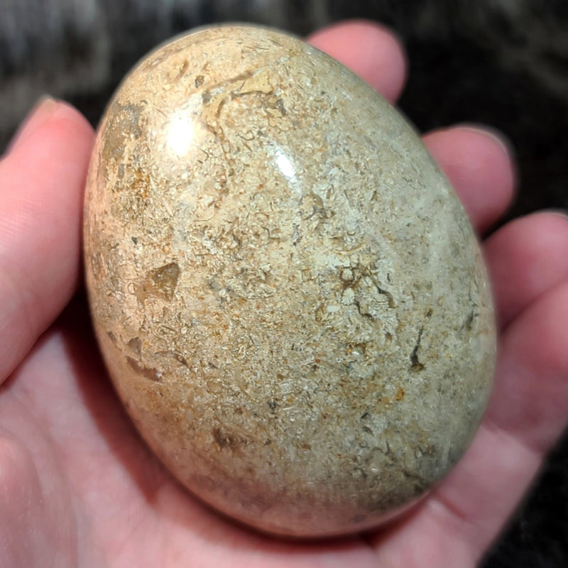 Fossil Matrix Egg (2.75")