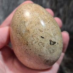 Fossil Matrix Egg (2.75