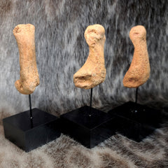 Cavebear Paw Bones (On Stand)