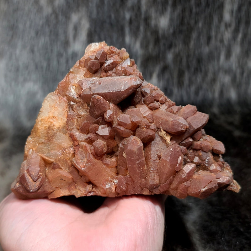 Moroccan Red Quartz H (4.25")