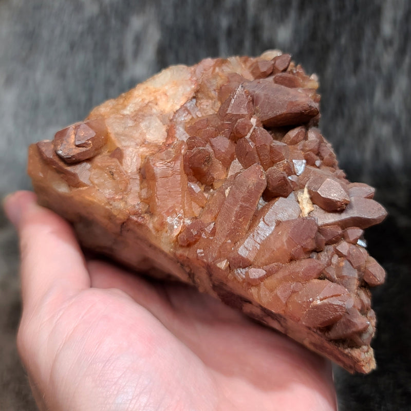 Moroccan Red Quartz H (4.25")