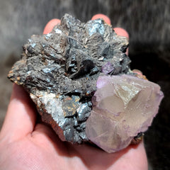 Fluorite & Sphalerite