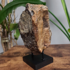 Dinosaur Vertebrae, Large (On Stand)