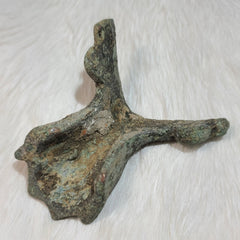 Ancient Roman Casket Foot (Lion), B (SALE)