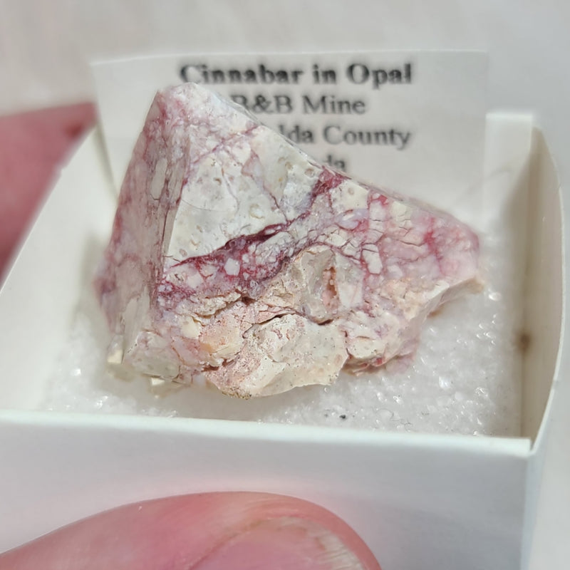 Cinnabar In Opal (Nevada)