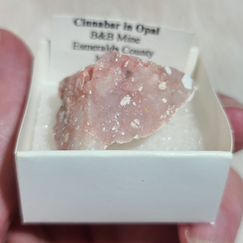 Cinnabar In Opal (Nevada)