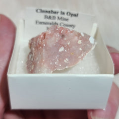 Cinnabar In Opal (Nevada)