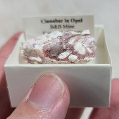 Cinnabar In Opal (Nevada)