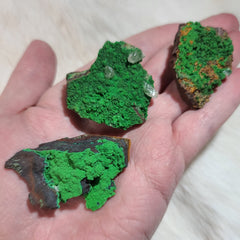 Conichalcite (1.5-2