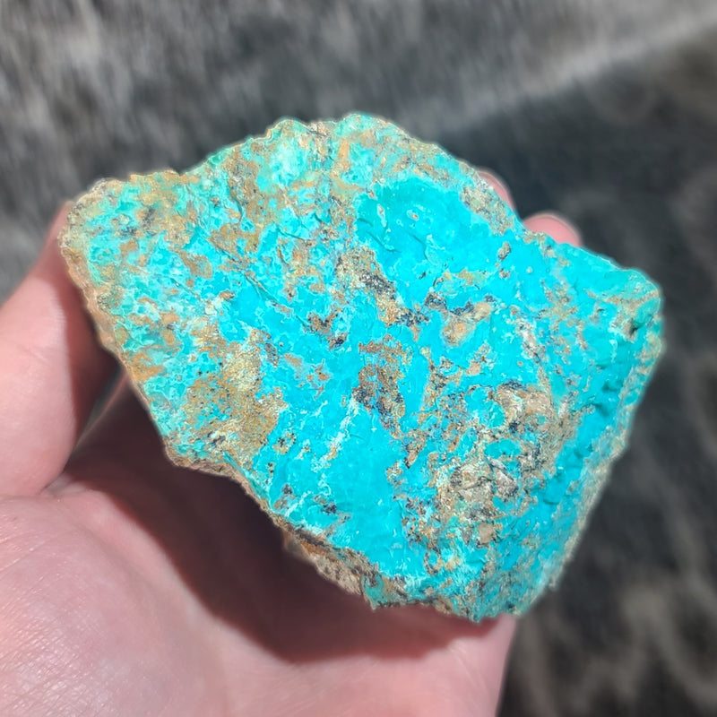 Chrysocolla, E (3.5")