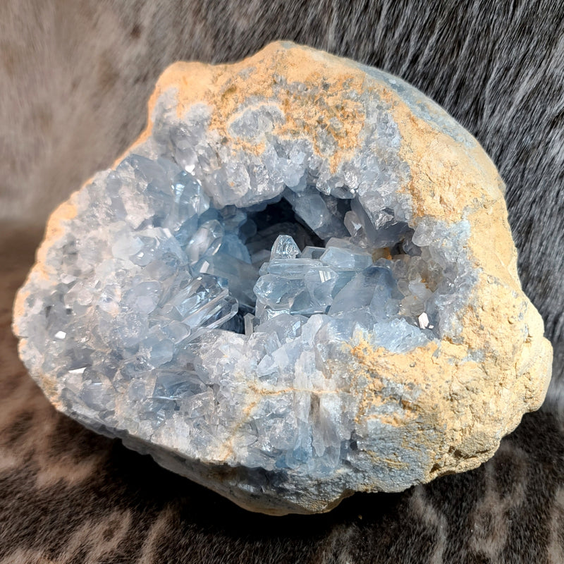 Blue Celestite Crystals, F (9")