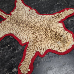 Leopard Skin Rug B, Vintage (SALE)