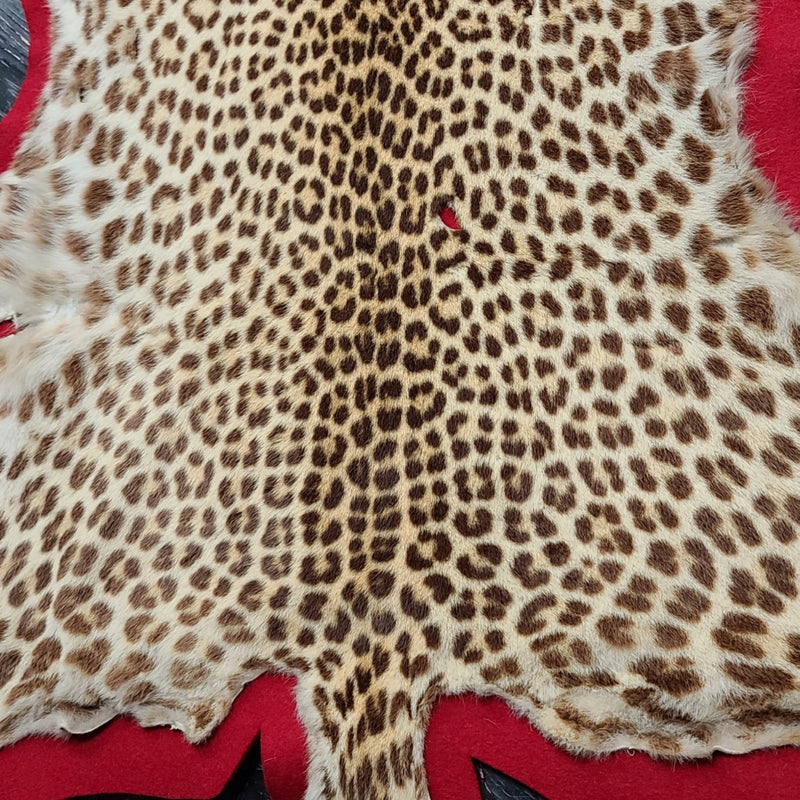 Leopard Skin Rug B, Vintage (SALE)