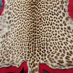 Leopard Skin Rug B, Vintage (SALE)