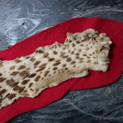 Leopard Skin Rug B, Vintage (SALE)