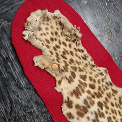 Leopard Skin Rug B, Vintage (SALE)