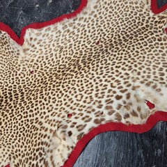 Leopard Skin Rug B, Vintage (SALE)