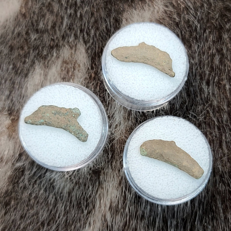 Ancient Greek Dolphin Coins