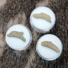 Ancient Greek Dolphin Coins (SALE)