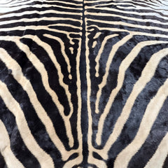 Zebra Skin Rug D (SALE)
