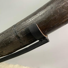 Stegodon Tusk A (39