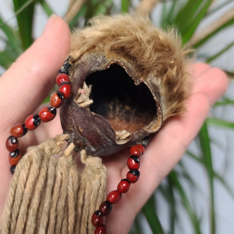 Shrunken Head, Blonde