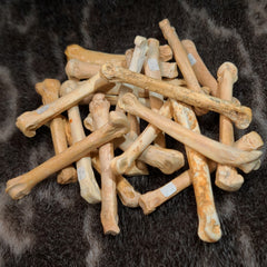 Fossil Wolf Paw Bones