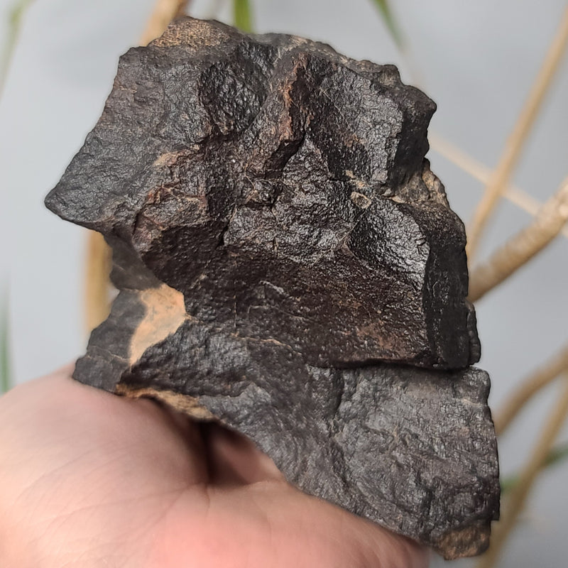 Meteorite XL, NWA (1.3kg)