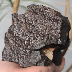 Meteorite XL, NWA (1.3kg)