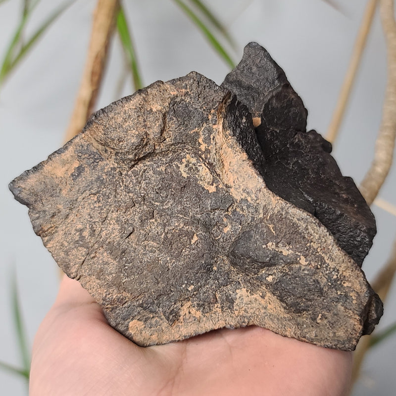 Meteorite XL, NWA (1.3kg)