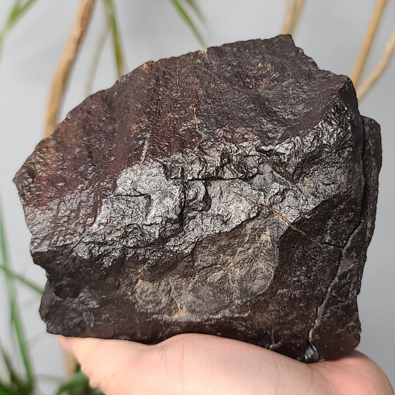 Meteorite XL, NWA (2.4kg)