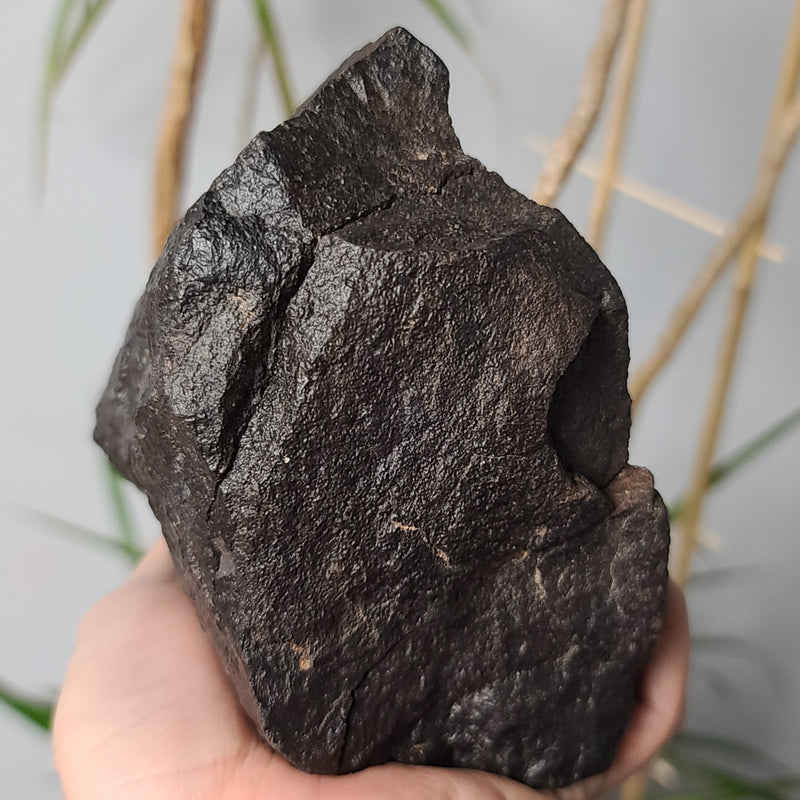 Meteorite XL, NWA (2.4kg)