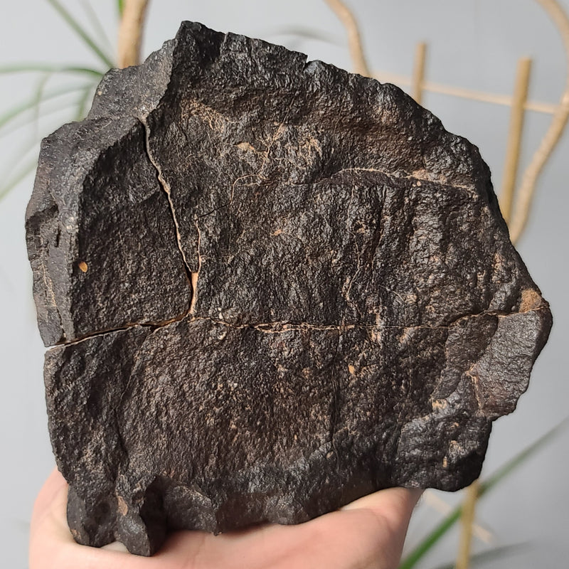 Meteorite XL, NWA (2.4kg)