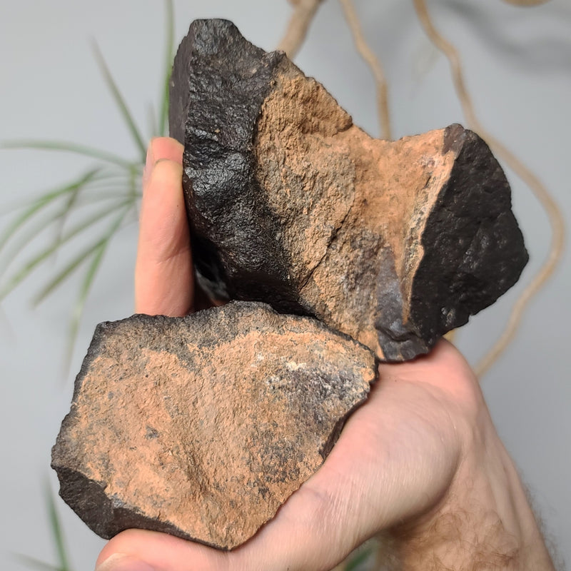 Meteorite XL, NWA (2.4kg)