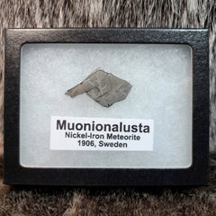 Muonionalusta Meteorite Slices (Framed)