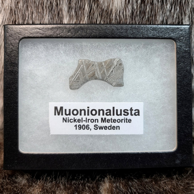Muonionalusta Meteorite Slices (Framed)