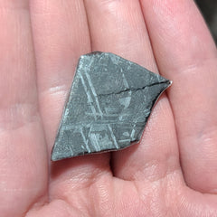 Muonionalusta Meteorite Slices (Framed)