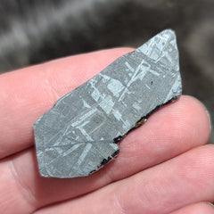 Muonionalusta Meteorite Slices (Framed)