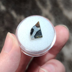 Brahin Pallasite Meteorite Slices