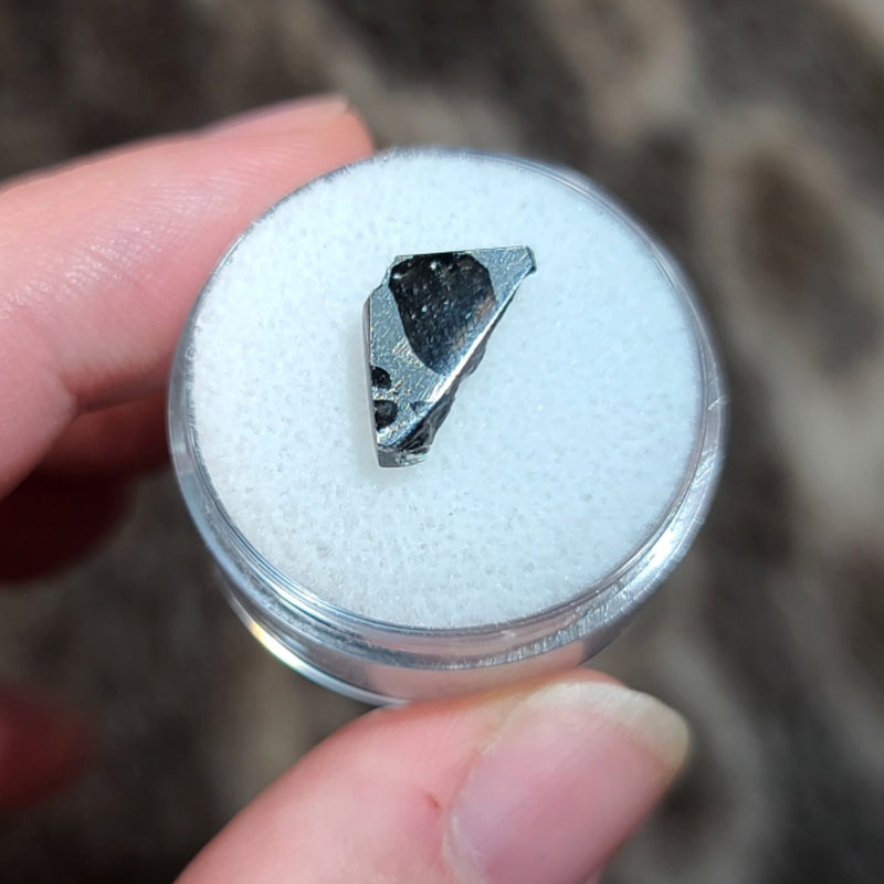 Brahin Pallasite Meteorite Slices