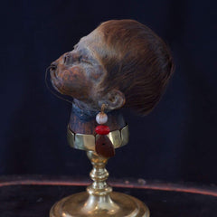 Child Shrunken Head