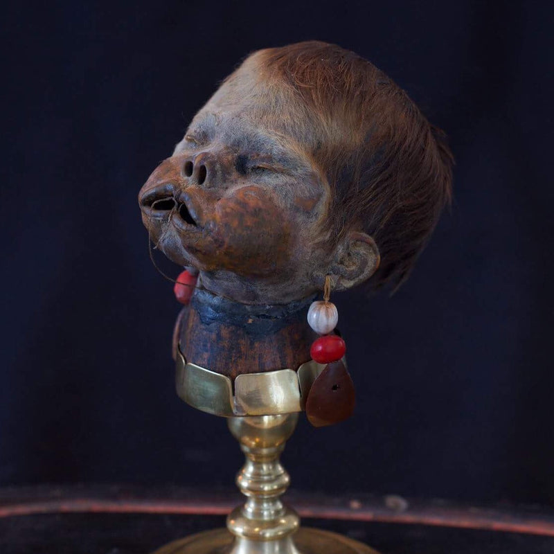 Child Shrunken Head