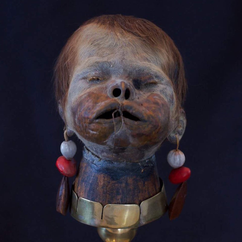 Child Shrunken Head