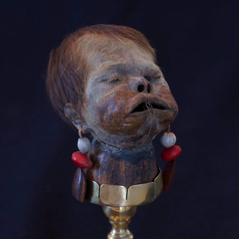 Child Shrunken Head