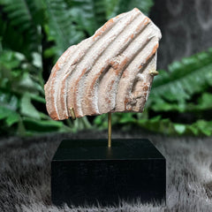 Ancient Greek Statuette Fragment M