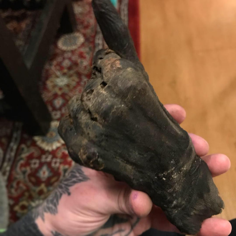 Ancient Egyptian Priest Mummy Hand & Foot